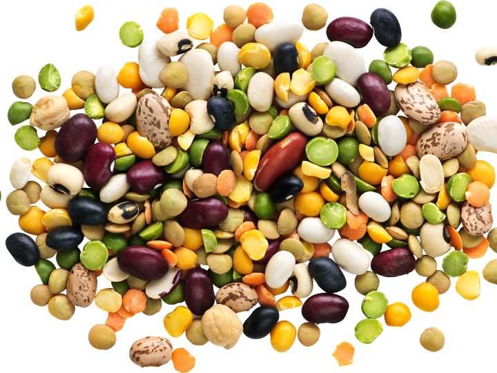 Agricultural trading and business opportunities