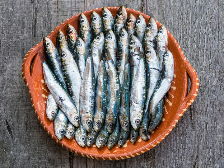 Sardines image 2